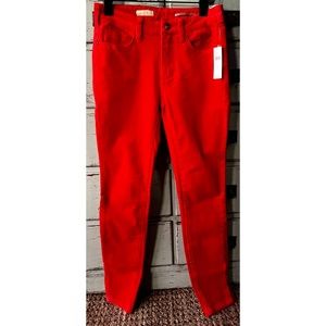 Anthropologie Pilcro Corduroy High Rise Skinny Pants Size 25